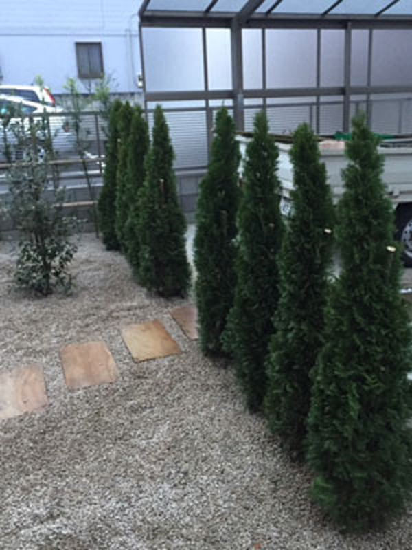 洋風植栽 洋風植栽